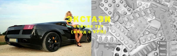 молекула духа Тайга
