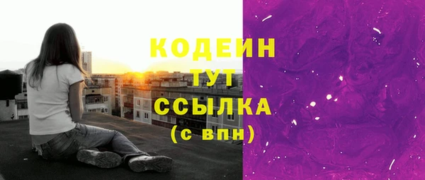 молекула духа Тайга