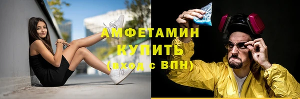 молекула духа Тайга