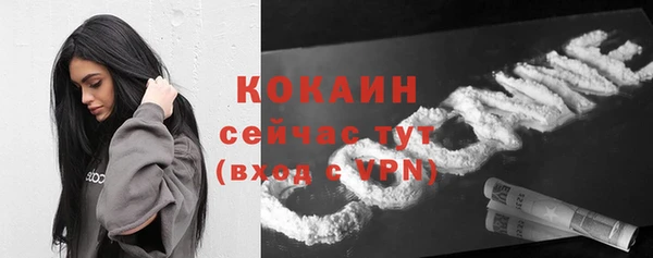 молекула духа Тайга
