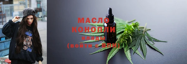 молекула духа Тайга