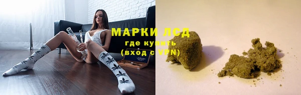стафф Каменка