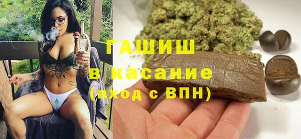 стафф Каменка