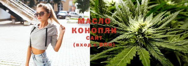 молекула духа Тайга