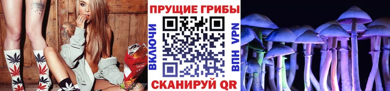 Галлюциногенные грибы Psilocybe  Томмот 